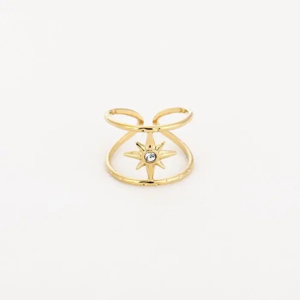 Ring zirkonia rvs goud