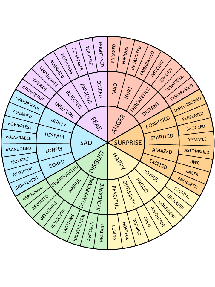 Emotion-Wheel: What is it I Feel?  Ages 9-15.