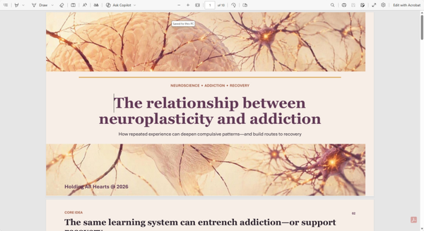 The relationship between neuroplasticity and addiction