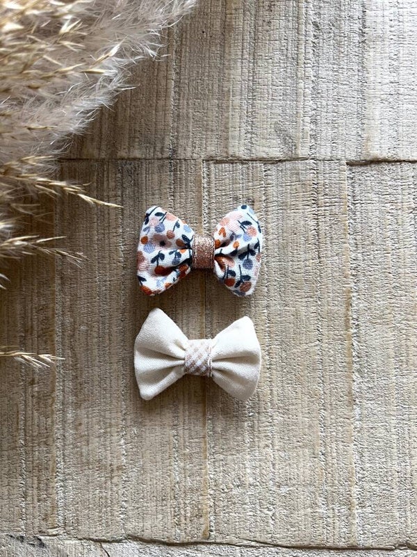 2 barrettes mini