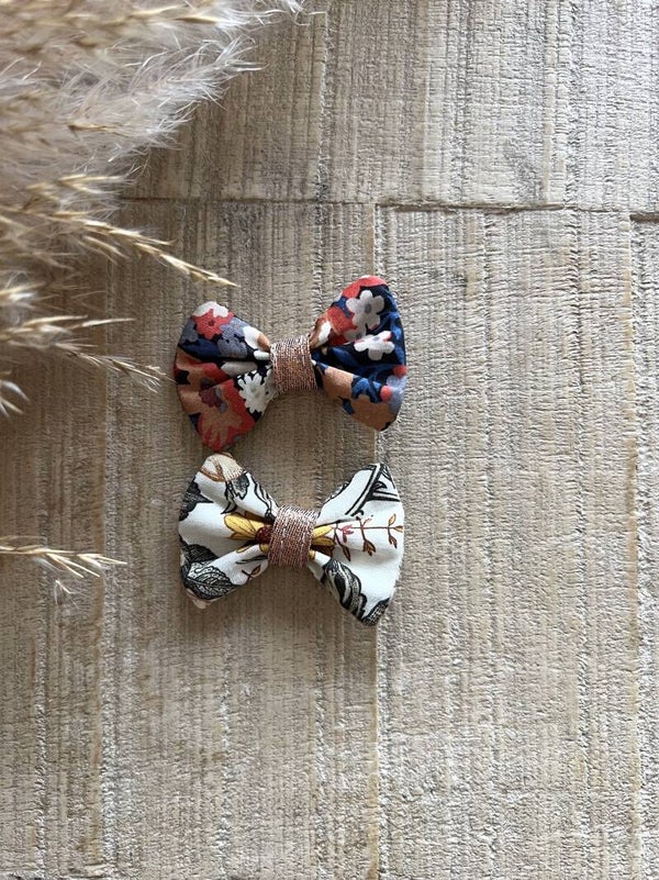 Lot 2 mini barettes