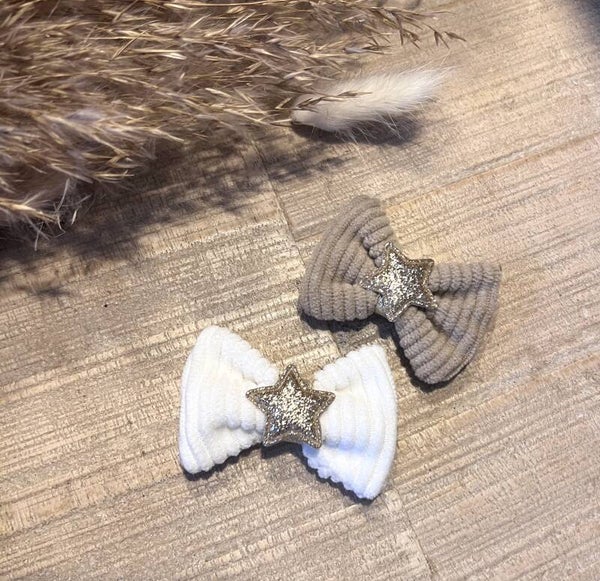 2 mini barrettes