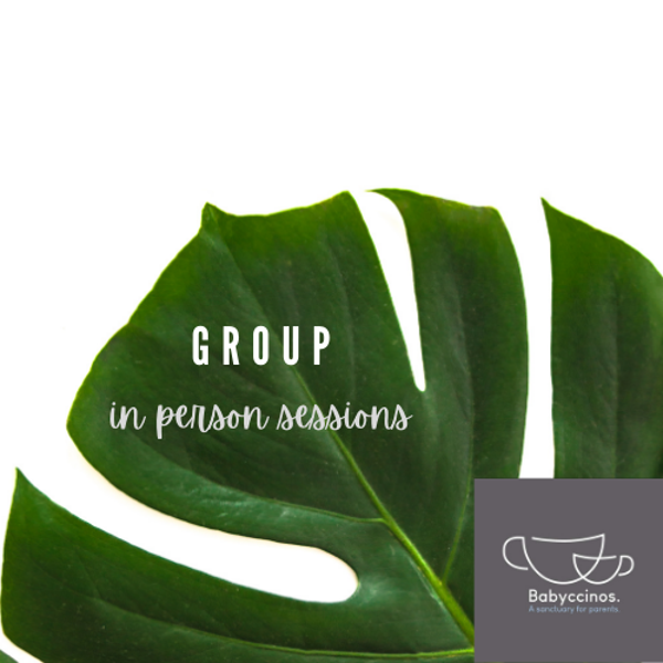 4 x 2 hour group sessions held at Babyccinos Mirfiled