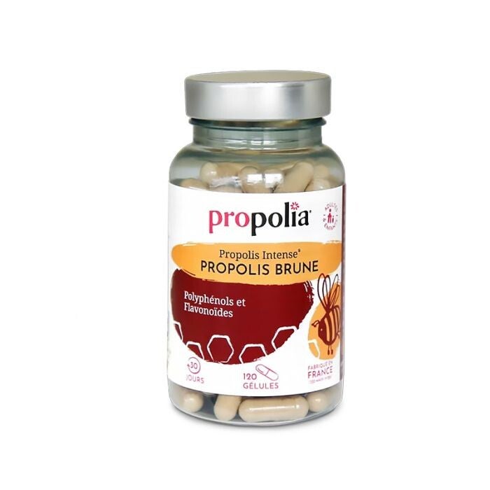 Gélules de Propolis : Propolis Ultra / Défenses naturelles