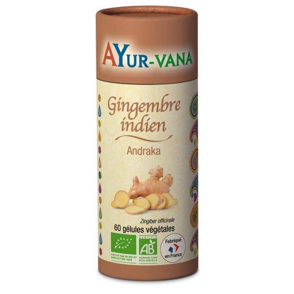 Gingembre indien bio (Andraka)