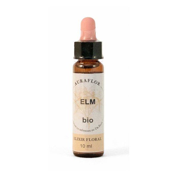 Fleur de Bach Orme (Elm) bio / Regain de force