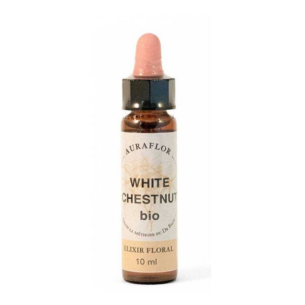 Fleur de Bach Marronnier Blanc (White Chestnut) bio / Clarté mentale et tranquillité d’esprit