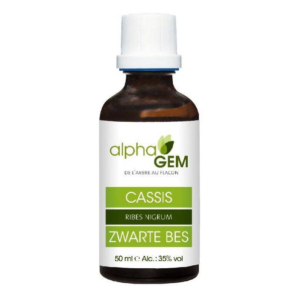 Bourgeons Cassis Bio / Tonique général et soutien immunitaire