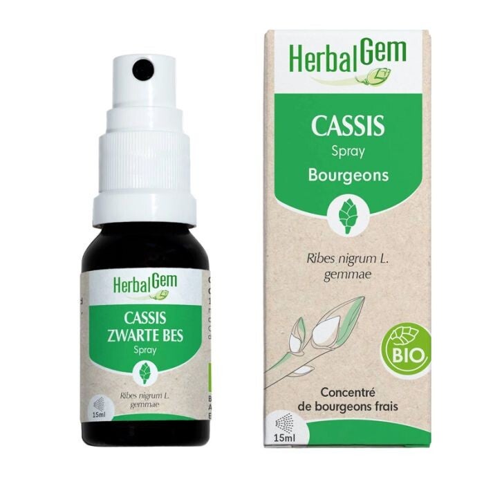 Bourgeon de Cassis bio