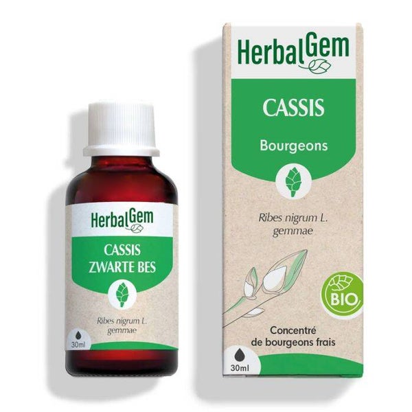 Cassis Bio / Regain de vitalité