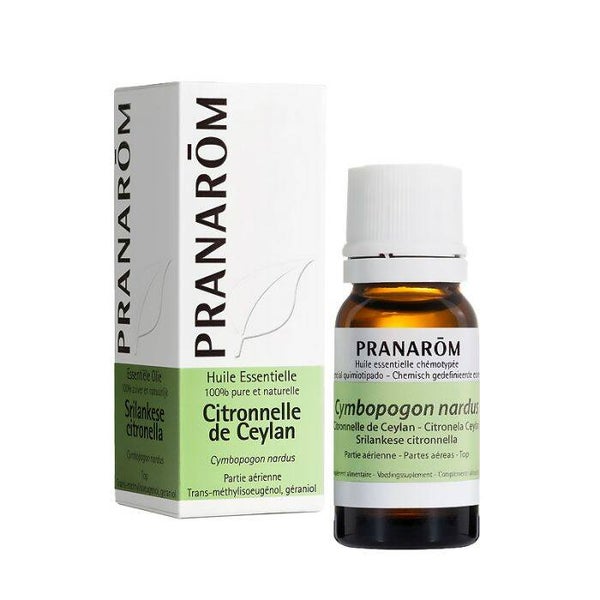 Huile Essentielle de Citronnelle de Ceylan / Fraîche, purifiante, répulsive