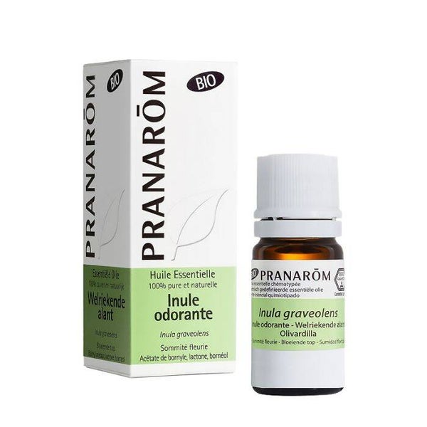 Huile essentielle bio d'inule odorante / Soutien respiratoire naturel