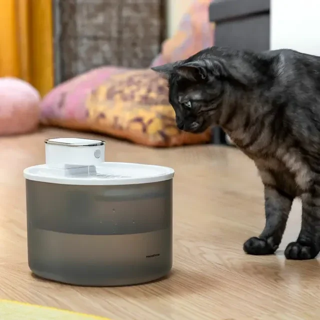 Fontaine pour Chats Rechargeable avec Détecteur