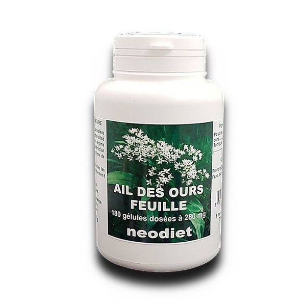Ail des ours