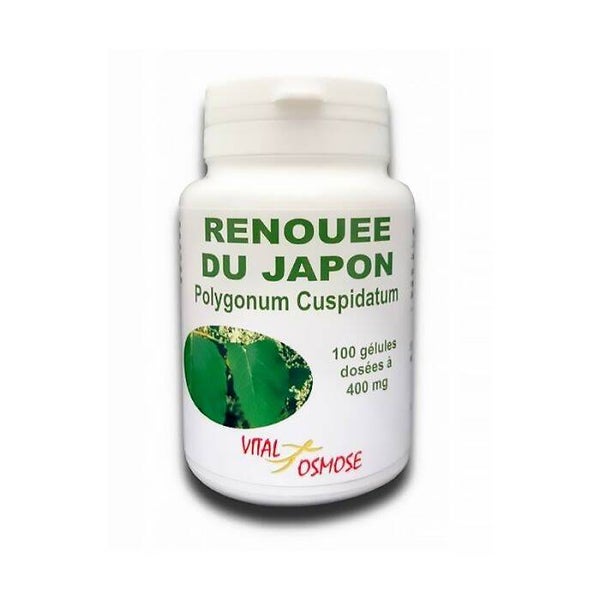 Renouée du Japon / Défenses naturelles soutenues