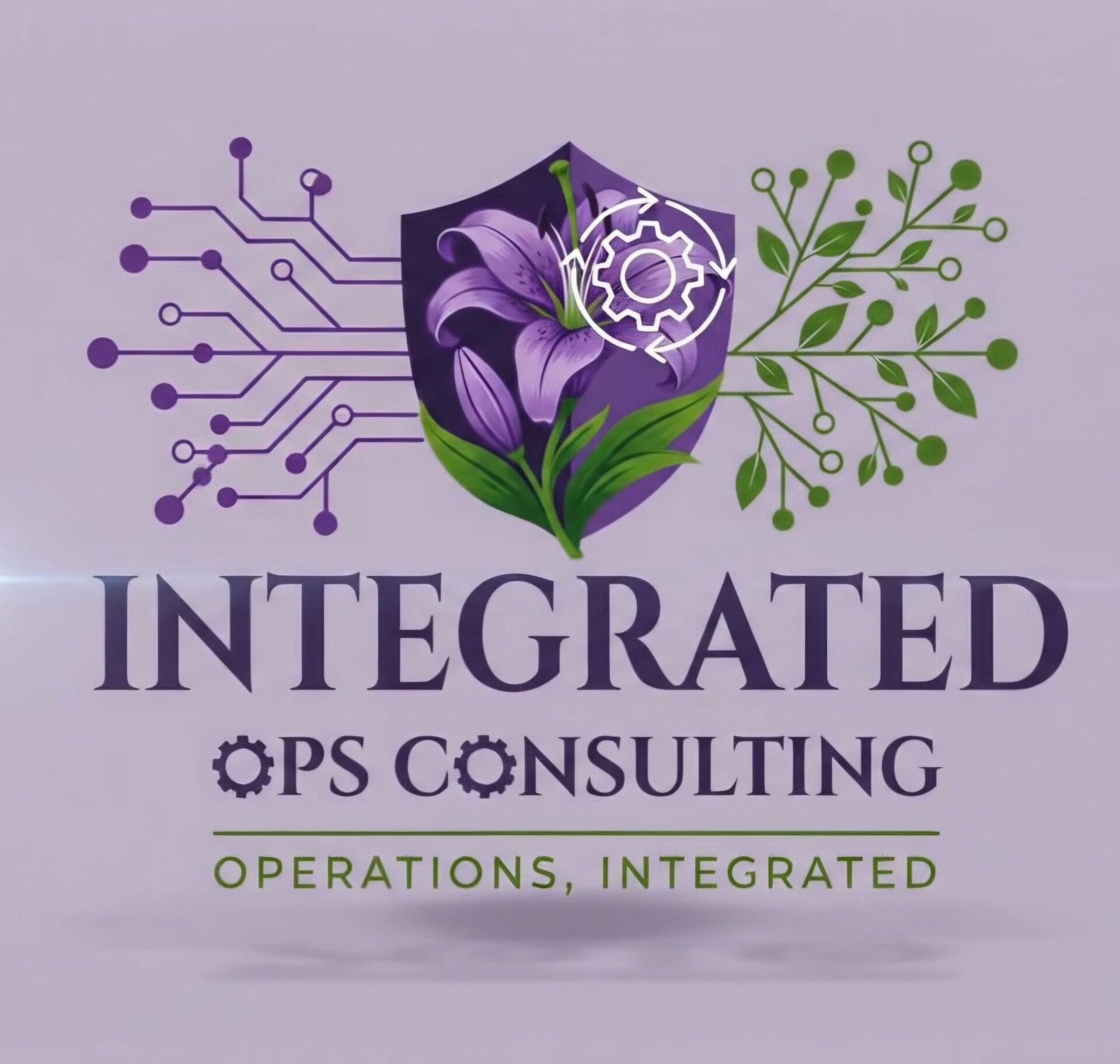 Integrated Ops Consulting