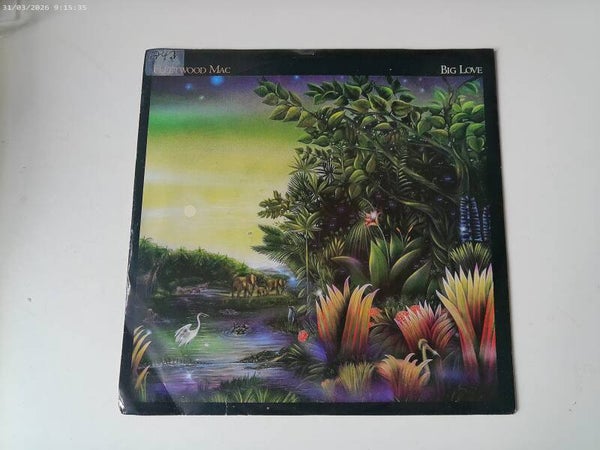 single Fleetwood Mac - Big Love / You and I