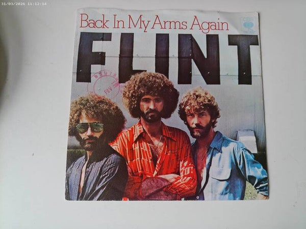 Single Flint - Back in my arms again  PROMO