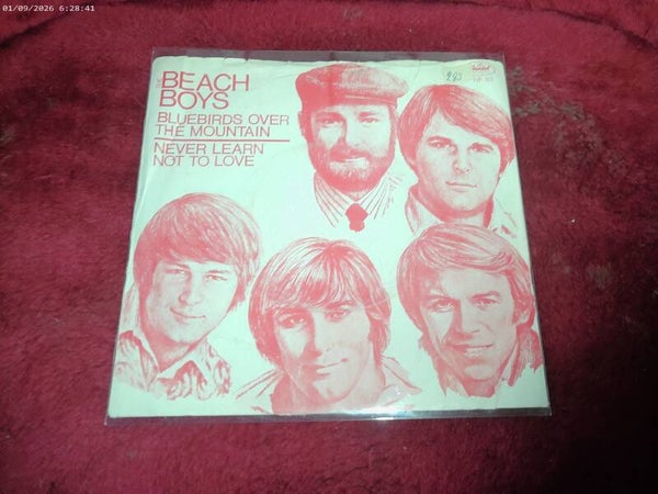 single The Beach Boys - Bluebirds over the mountain
