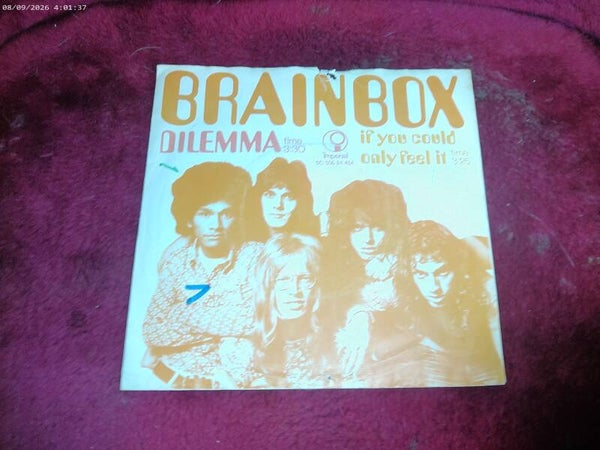 Single Brainbox - Dilemma / If you could only feel it