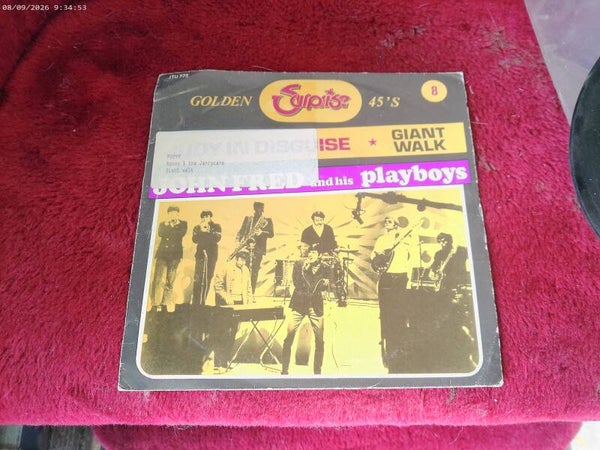 single John Fred & his Playboys - Judy in Disguise