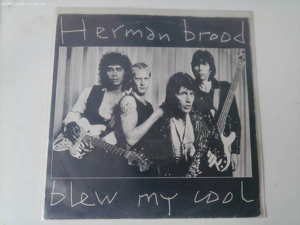 single Herman Brood - Blew my cool