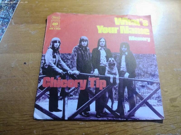 single Chicory Tip - What's your name / Memory
