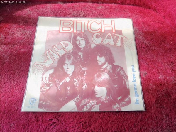 single Bitch - Wild Cat / I'm gonna Love you
