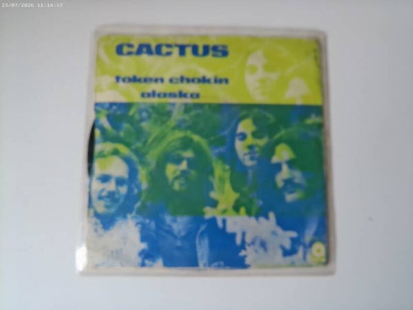 single Cactus - Token Chokin / Alaska