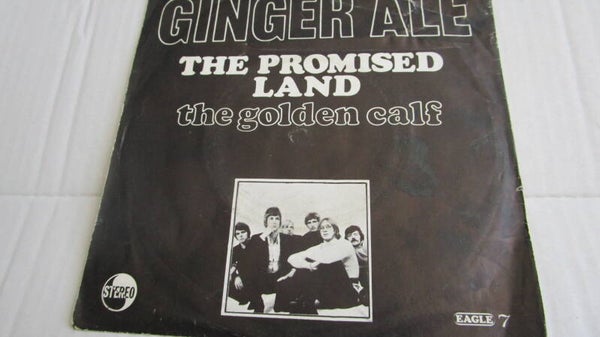 single-Ginger Ale - the promised land