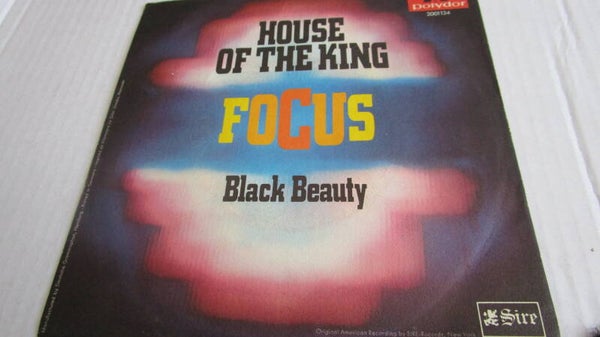 single-Focus - house of the king