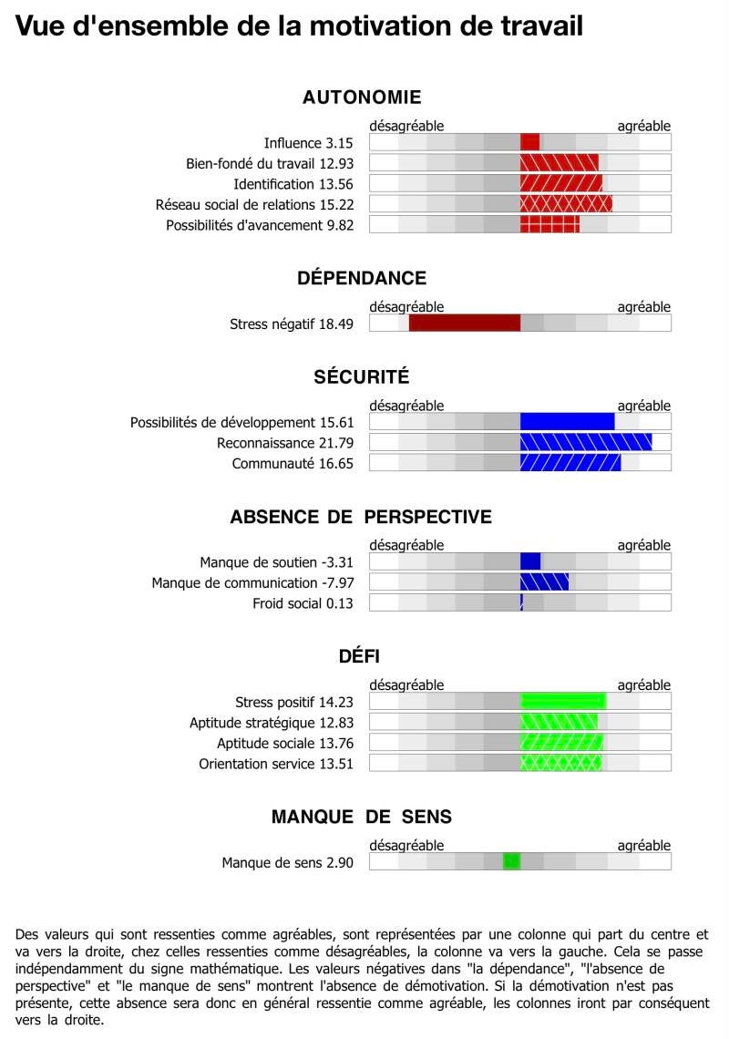 L'Identity Compass et la motivation