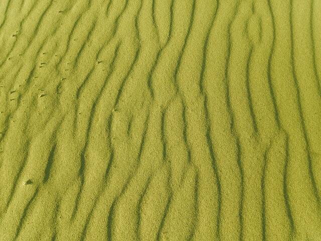 Identity Compass et concurrence jaune