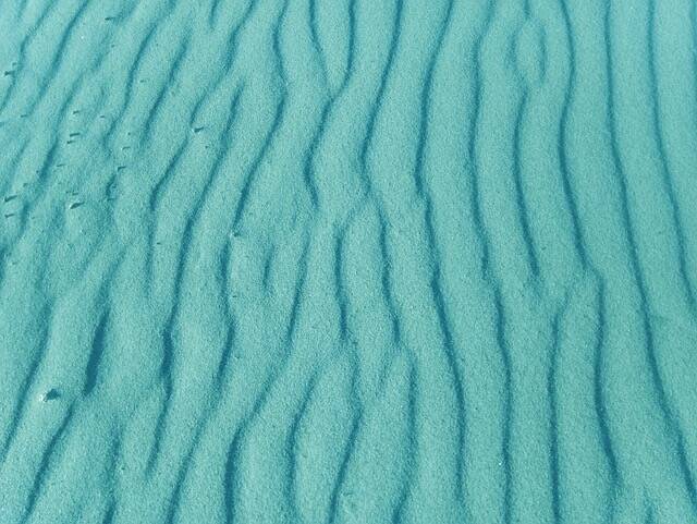 Identity Compass et concurrence verte