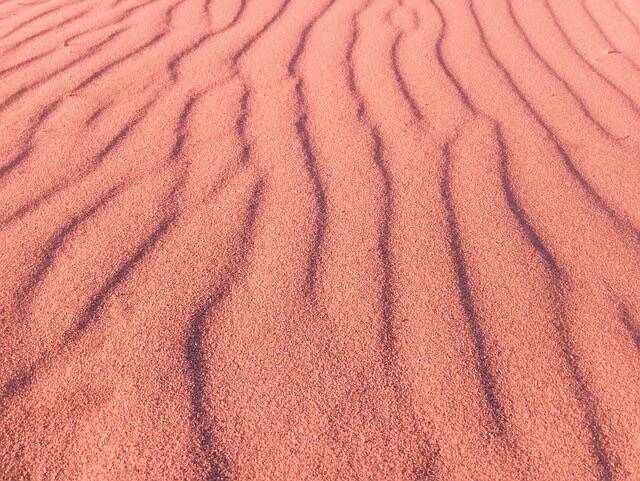 Identity Compass et concurrence rouge