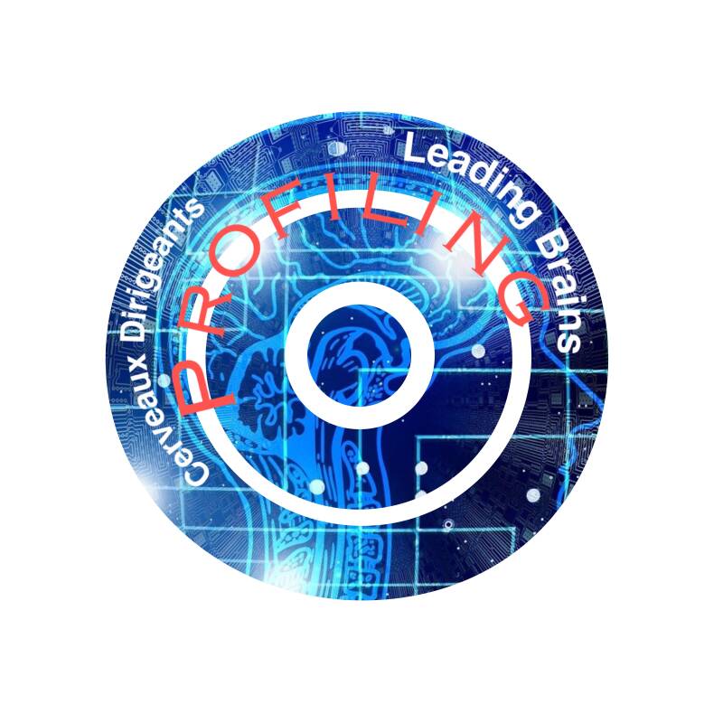 Identity Compass et profilage ou profiling