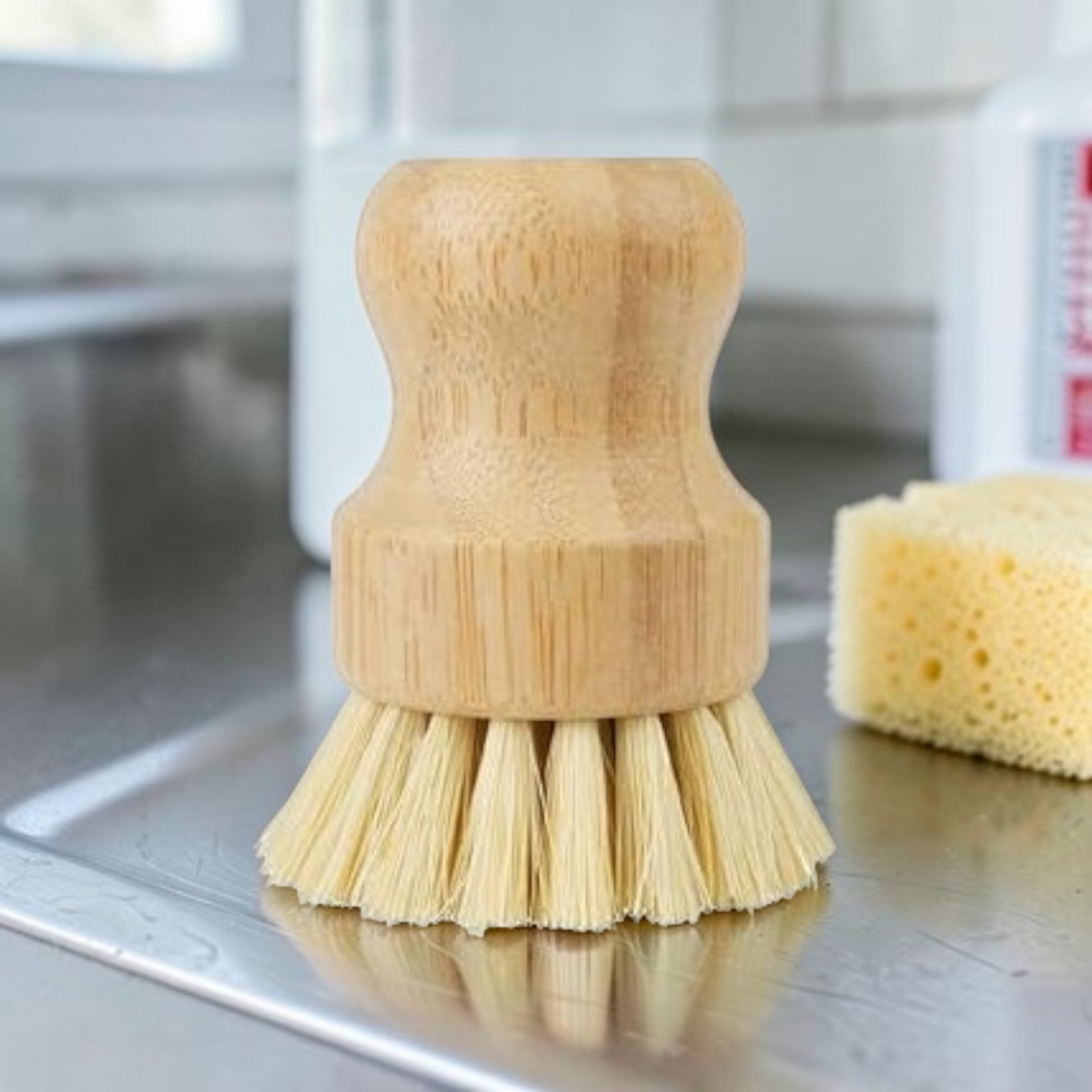 Dish Brush