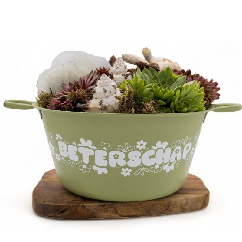 Plantenbak beterschap