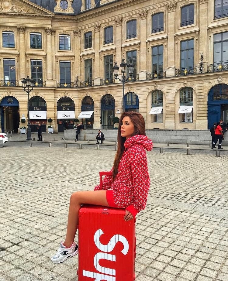 Louis Vuitton X Supreme Hoodie