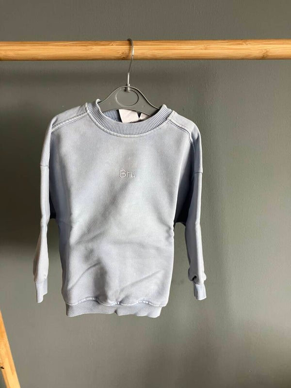 Zara trui
