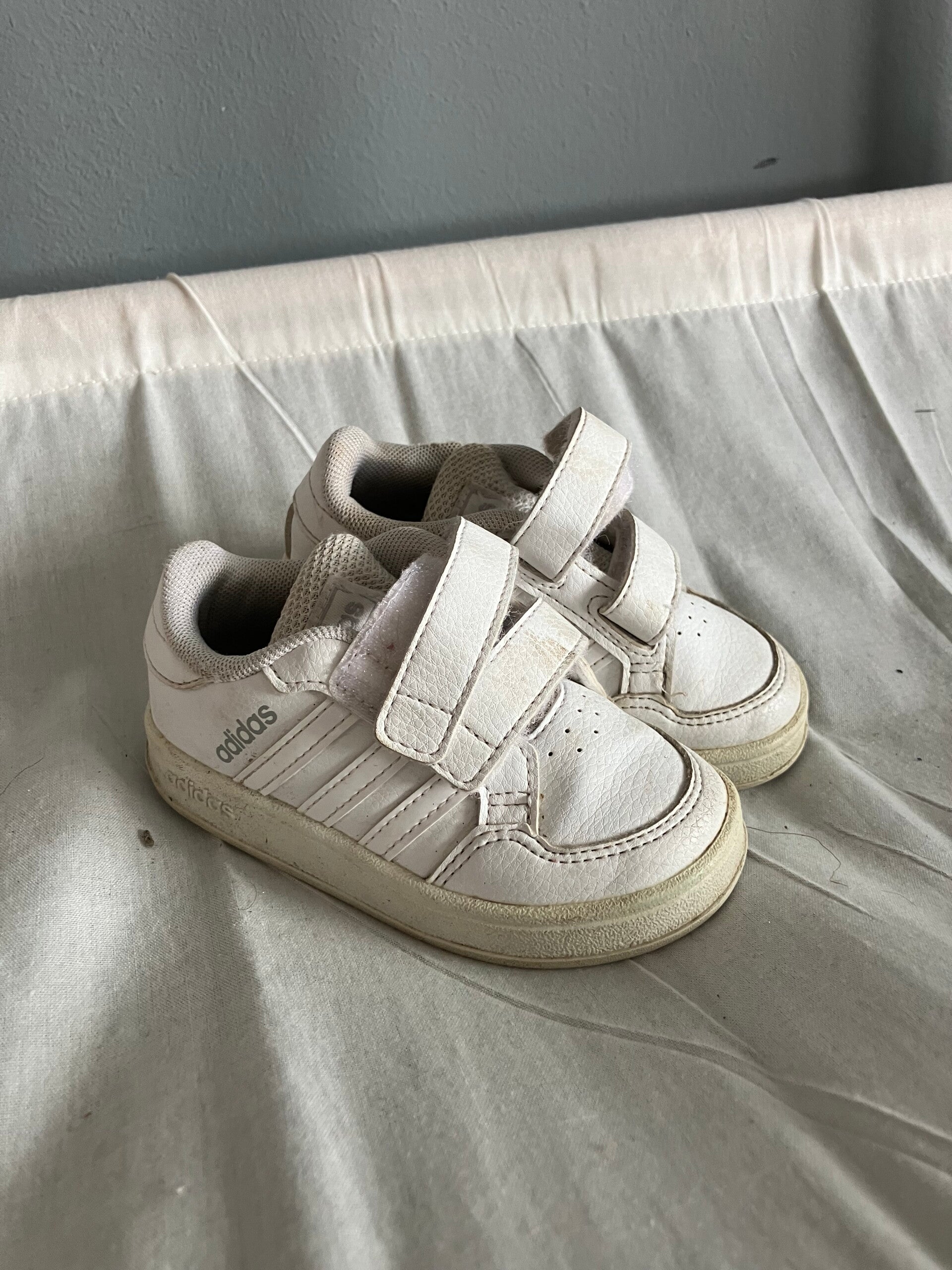 Adidas sneakers