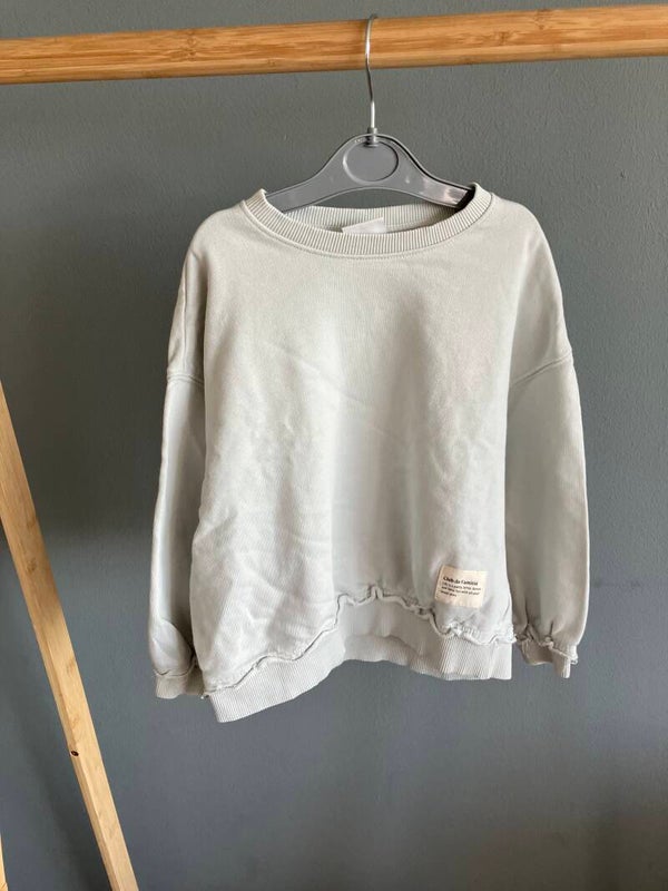 Zara trui