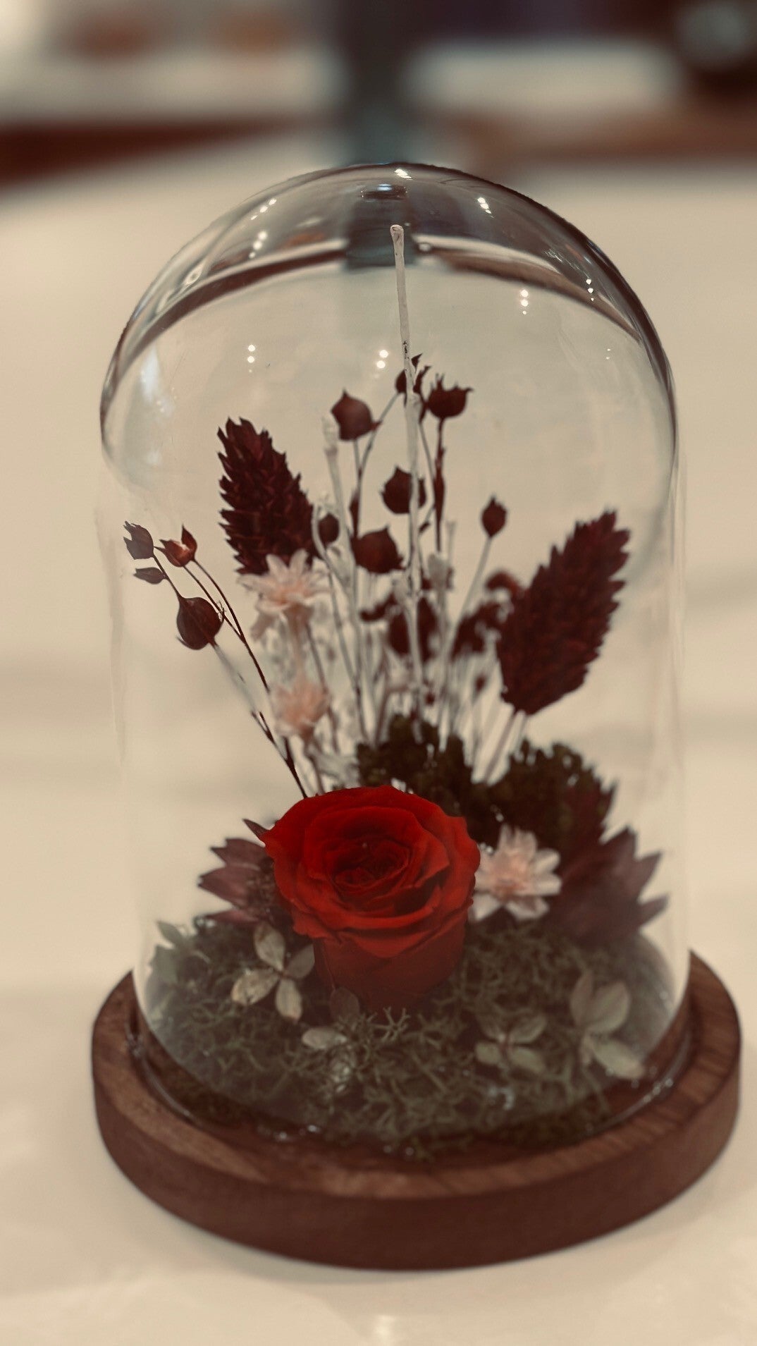 Cloche verre & fleurs séchées