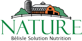 PULPE DE BETTERAVE SEMI CUBE / BEET PULP PELLET