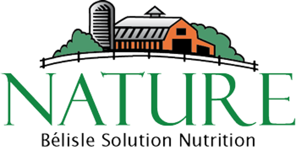 MELANGE DE GRAINS BIOLOGIQUE  / ORGANIC GRAIN MIX