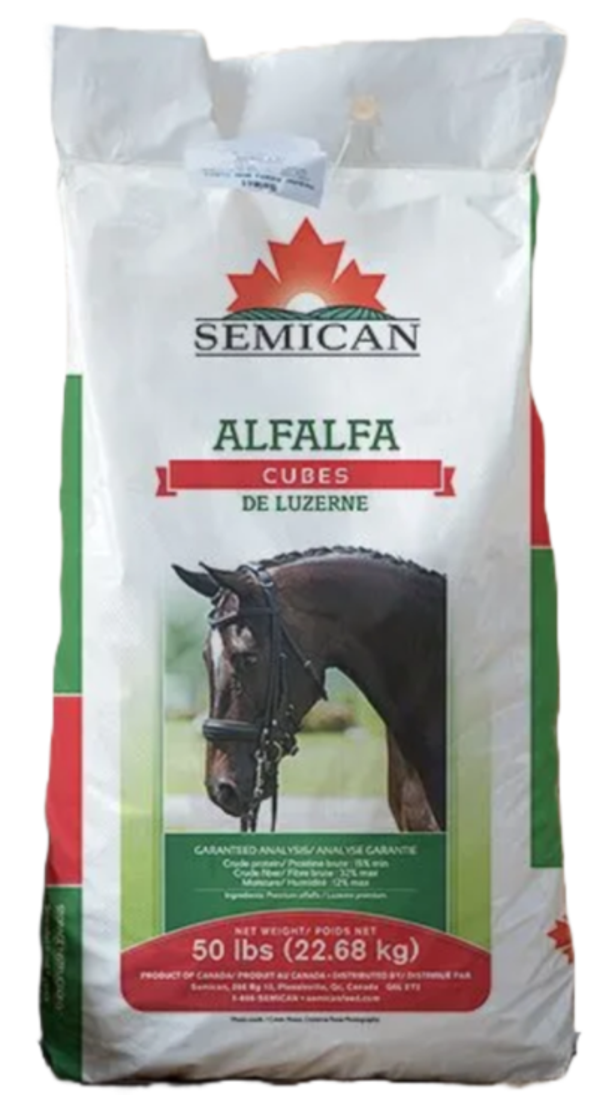 LUZERNE GROS CUBE SEMICAN / SEMICAN Large Alfalfa Cube 22.68KG