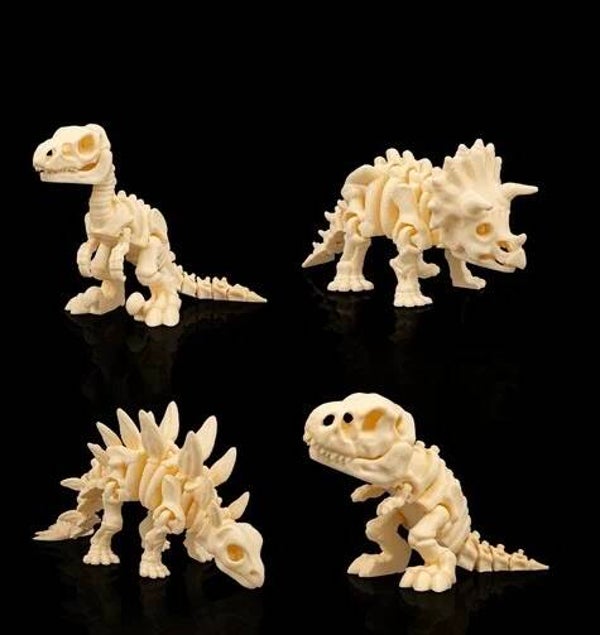 Dinosaurier Skelett