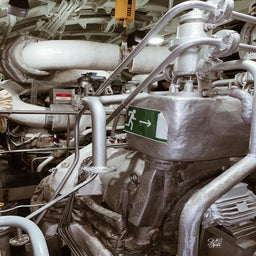 06cbca08-2f32-48b5-b117-64cae2b8b684-standard.jpg