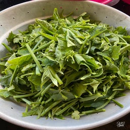 29a3cf65-3742-472b-b4de-f861dc0cb7e8-standard.jpg