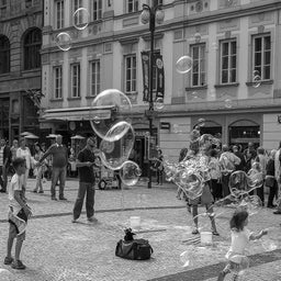641355ee-f7f8-4f80-a7f7-78eb4e13b2b6-standard.jpg